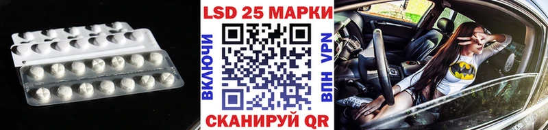 хочу наркоту  OMG как войти  LSD-25 экстази кислота  Ядрин 