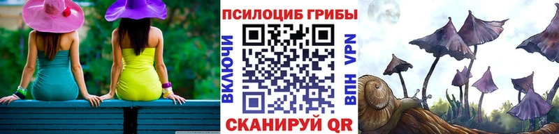 где найти Ядрин площадка состав Галлюциногенные грибы мухоморы